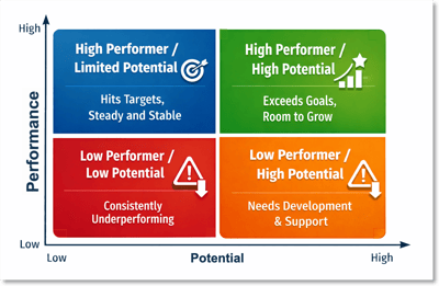 performance and potential visual