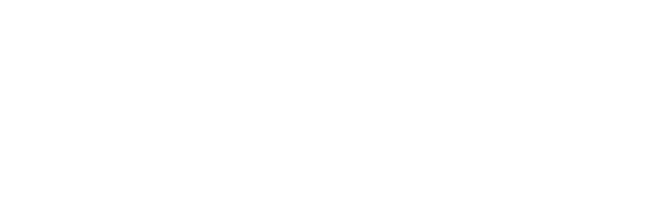 carnegie learning