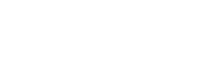 netsuite